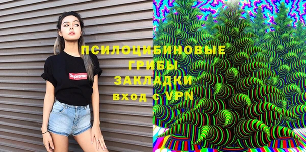 apvp Кодинск