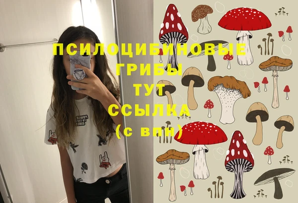 мескалин Козловка