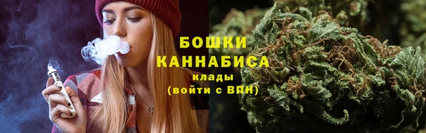 гидра Кинешма