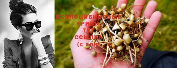 круглые Киренск